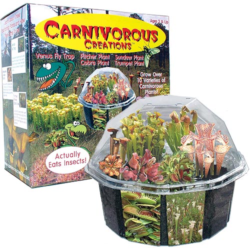 23+ Fly Trap Plant For Sale PNG