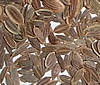 dill