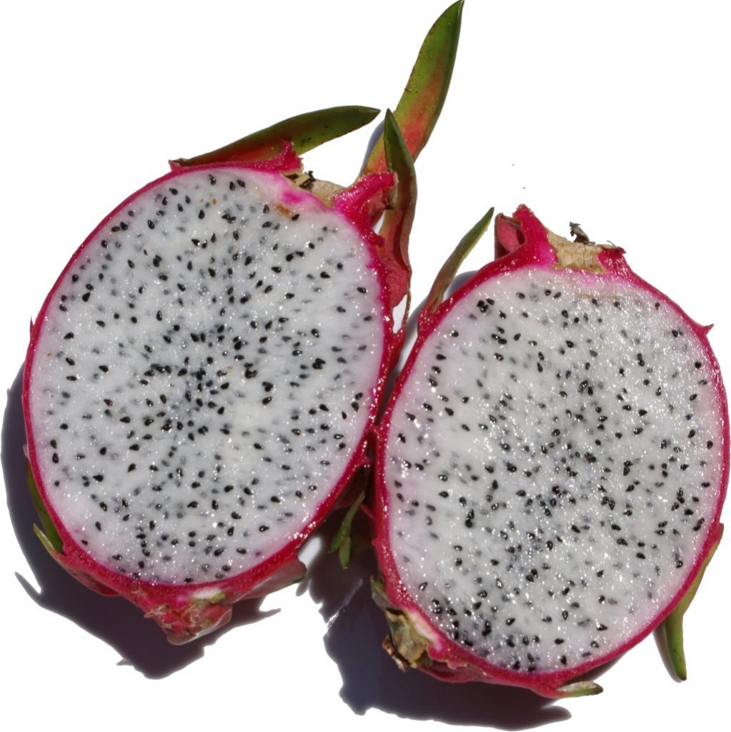 l_dragon_fruit_cut_open-dsc08417.jpg