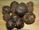 200px-propolis_taruvaik