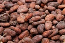 4cocoabeans_435856n