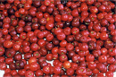 acerola