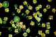 biol_03_img0346_000