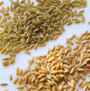 spelt