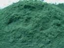 spirulina