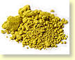 yellow_pig2